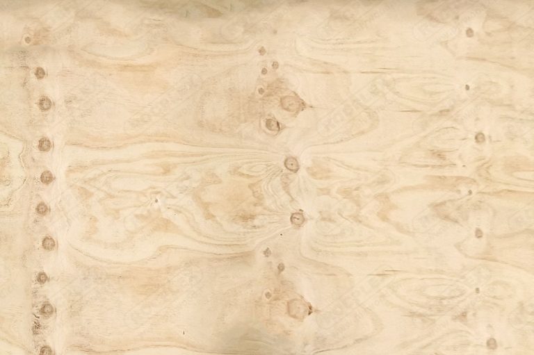 Structural Plywood - The Future of Construction - ROCPLY